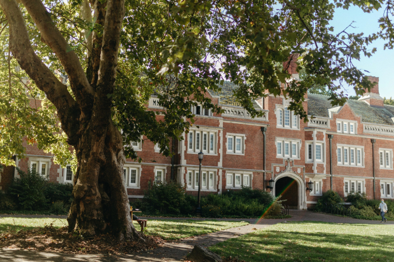 Tree in front of building at Reed