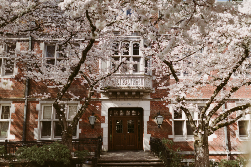 Cherry blossoms blooming in front of a building at Reed